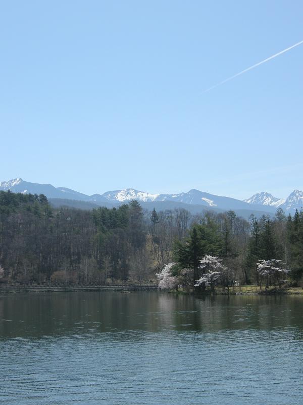 f0100825_13131933.jpg