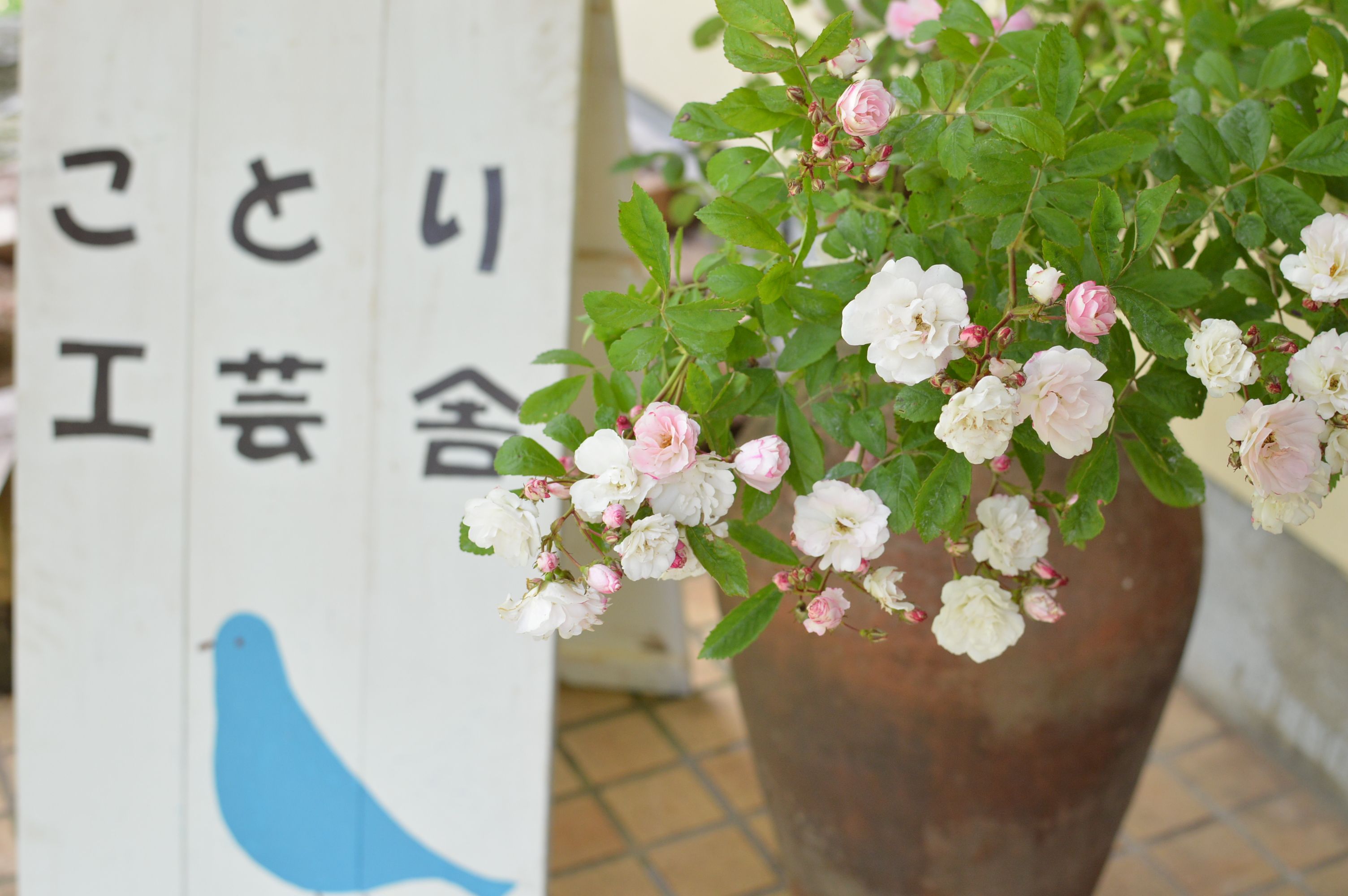 バラの庭のマルシェ_f0351026_14191147.jpg