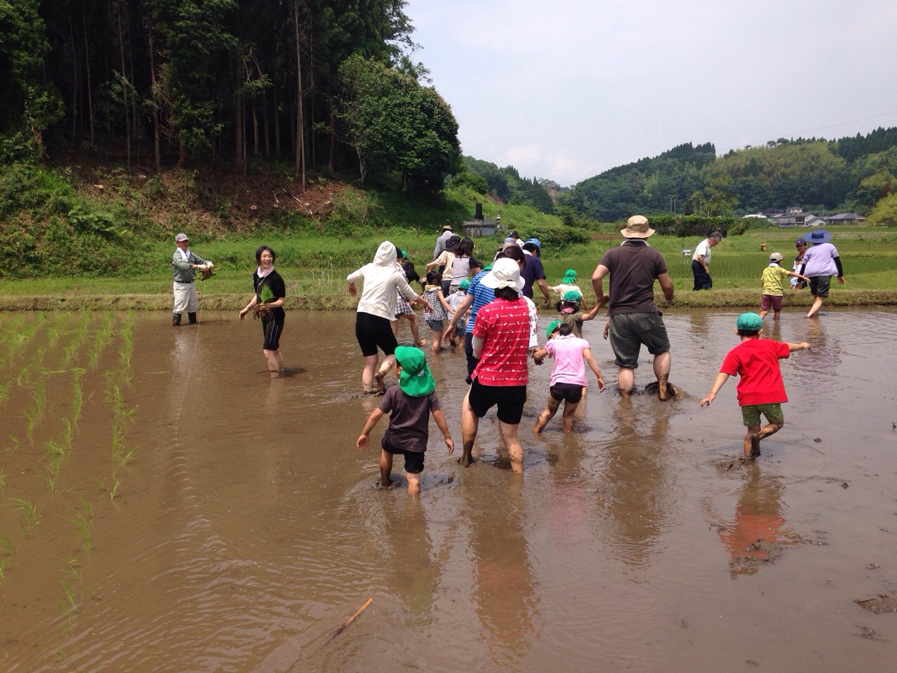 田植え終了！_b0142227_11214485.jpg