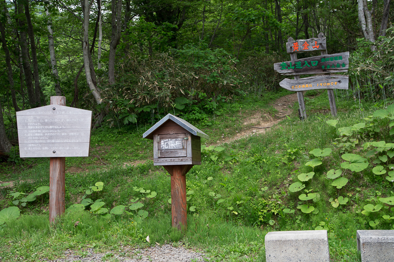 b0243727_15532743.jpg