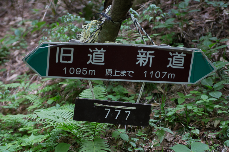 b0243727_163814.jpg