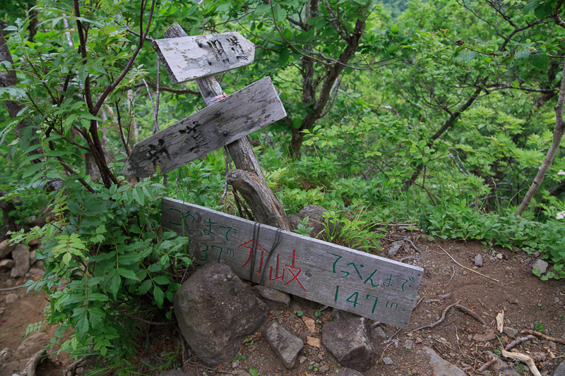 b0243727_16535736.jpg