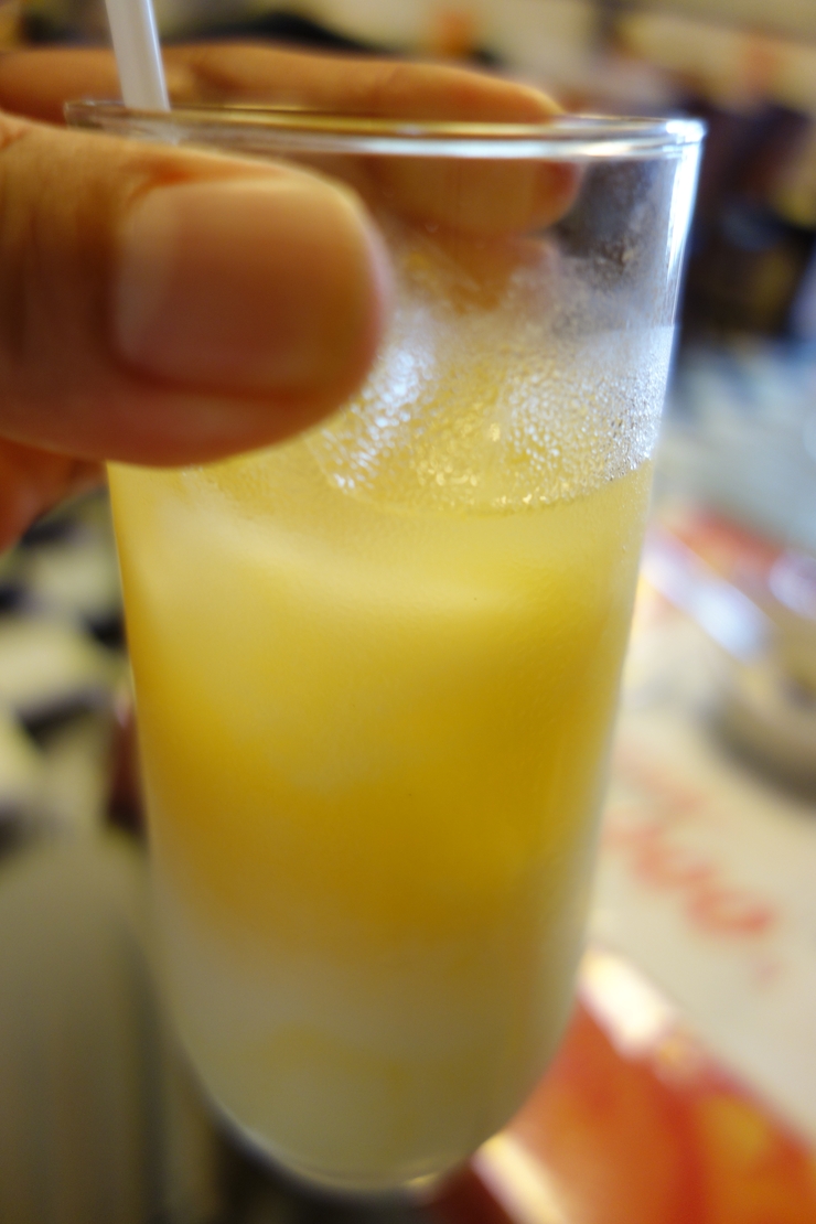Indian Restaurant SHIVA(シヴァ) 江戸川区北小岩/カレー インド料理~北小岩からぶらぶら その3_a0287336_23412175.jpg