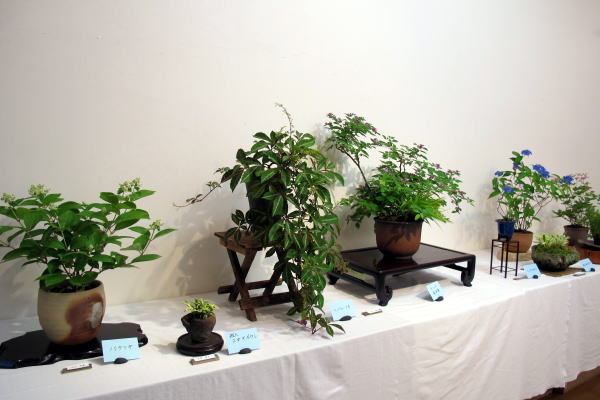 c0147952_034513.jpg