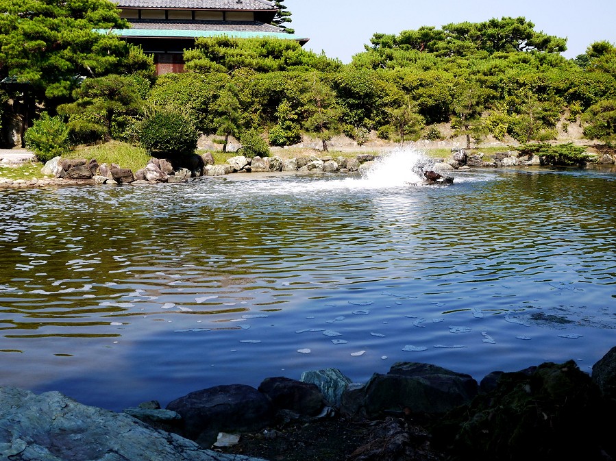 　　温山荘園_b0093754_17433356.jpg