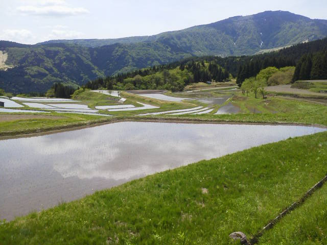 c0214359_0762.jpg