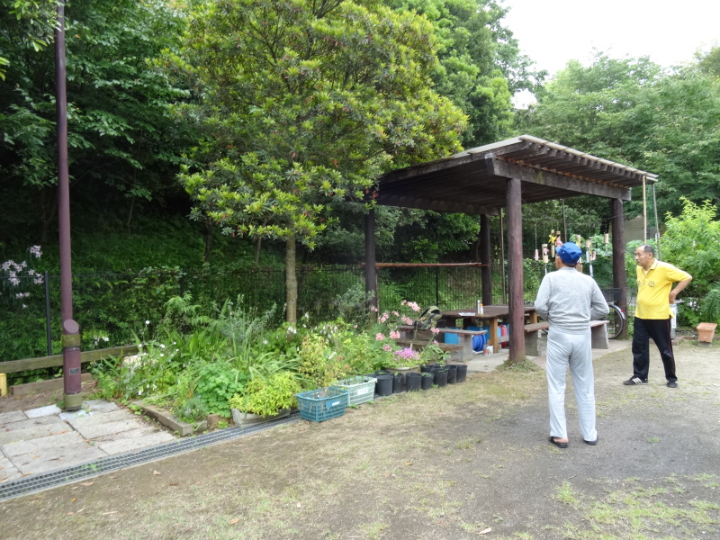 c0108460_22333305.jpg