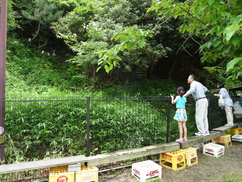 c0108460_22333420.jpg