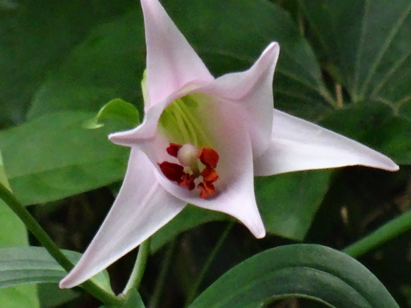c0108460_22472720.jpg