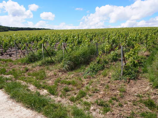 France 5日目_e0237660_17491578.jpg