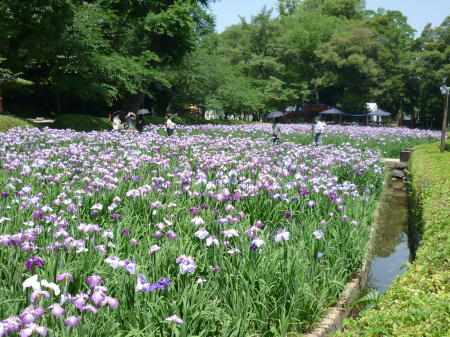c0309663_01103414.jpg
