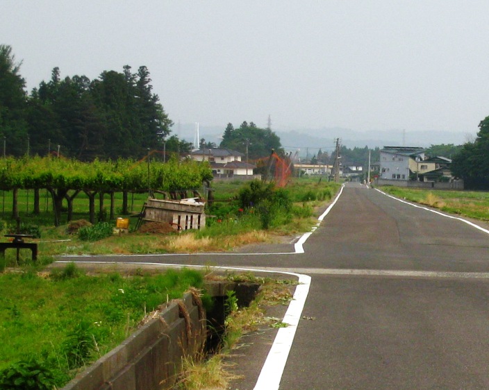 a0087378_5551100.jpg