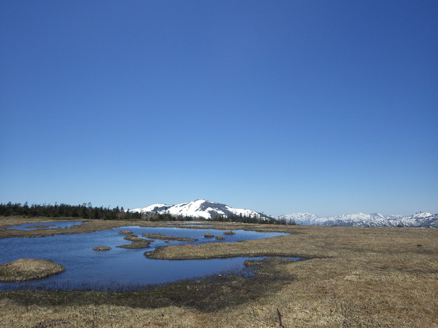 a0094280_1611452.jpg