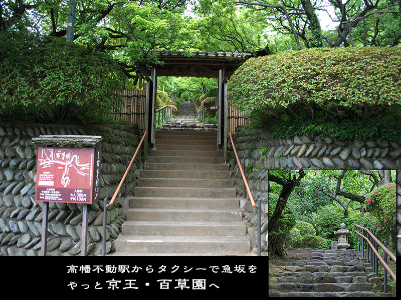 「東京風景 - やっと百草園・正門へ．．」_c0009981_15205033.jpg