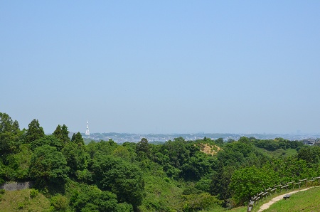 千早赤阪村　棚田の田植え 2014 ①_c0229483_23201436.jpg