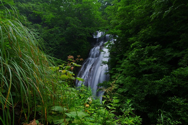 c0324983_21531101.jpg