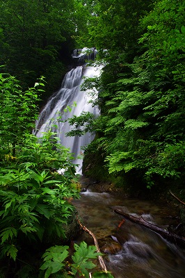 c0324983_21573783.jpg