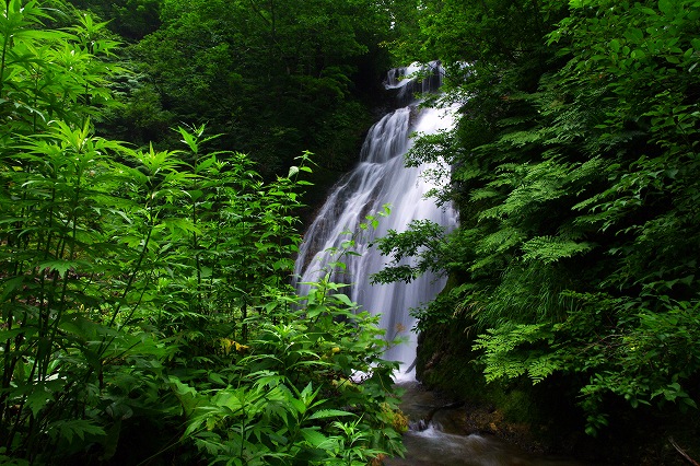 c0324983_21584638.jpg