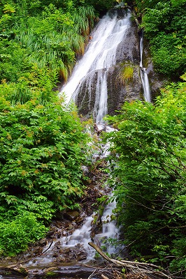 c0324983_22075090.jpg