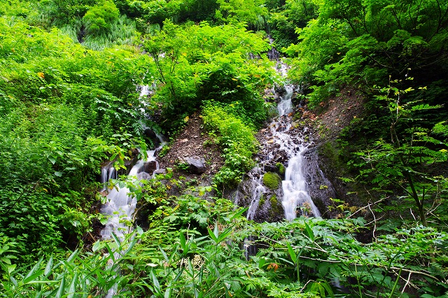 c0324983_22092635.jpg