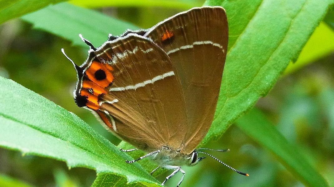 a0152692_1829276.jpg