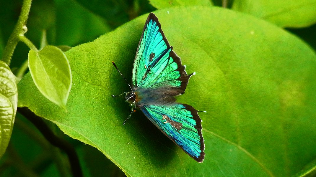a0152692_18322889.jpg