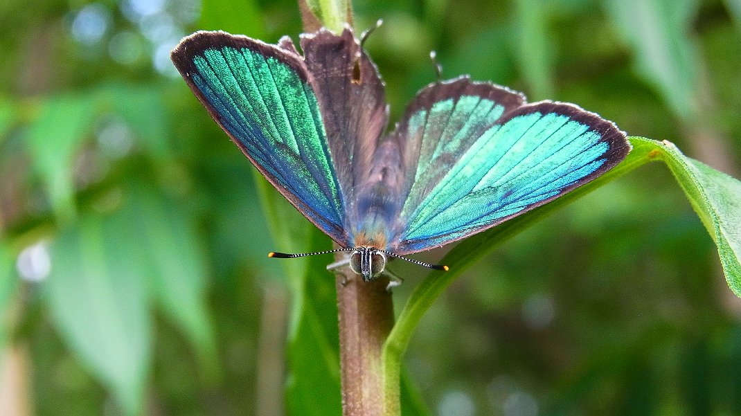 a0152692_18324867.jpg