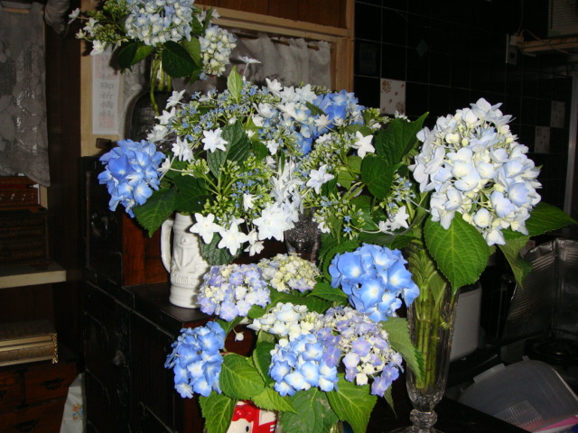ーー他人と合わす、ツアー旅行!は、難しい~!やっぱ、一人旅!が、一番~!--_d0060693_1950711.jpg