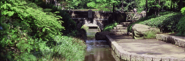 玉川上水緑道_f0322193_9252273.jpg