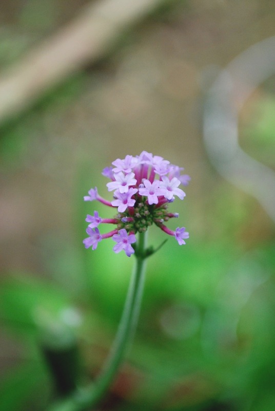 e0025300_21413132.jpg