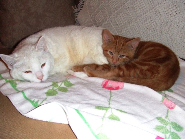 c0062603_5394095.jpg