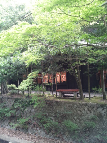 f0250403_21275302.jpg