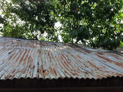 d0165505_23143714.jpg