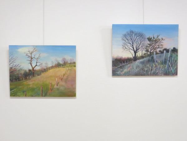 奈良の喜多美術館での個展が終了しました。_b0129807_2241625.jpg