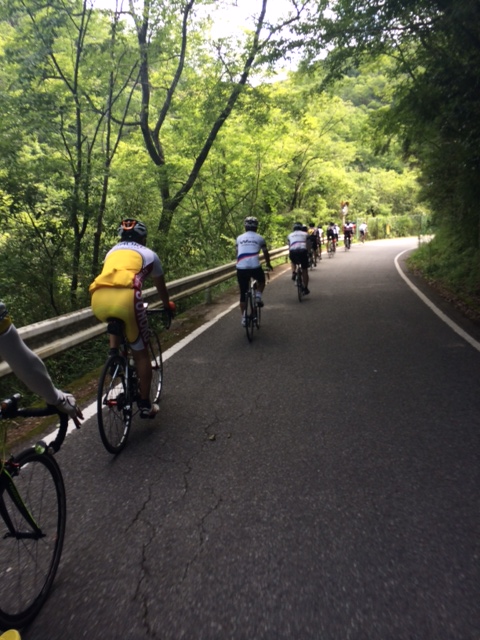 初夏のさわやかツーリング　丹波篠山編♪_b0246207_22275658.jpg