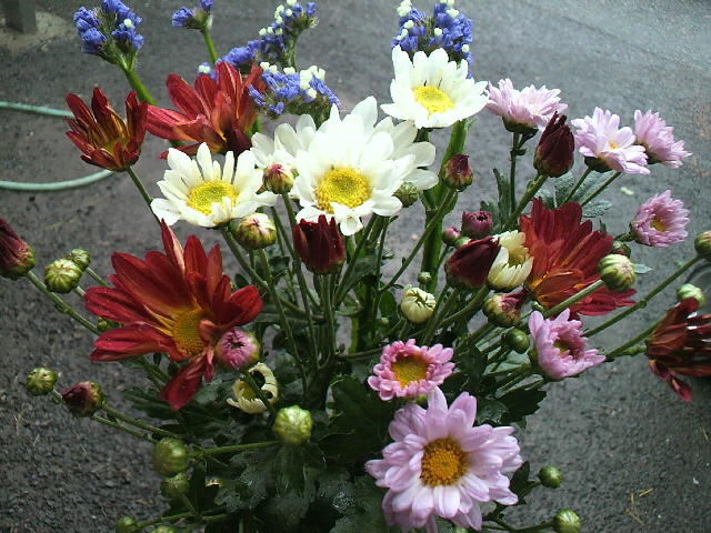 f0127408_23333527.jpg