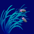 f0231709_11372591.gif