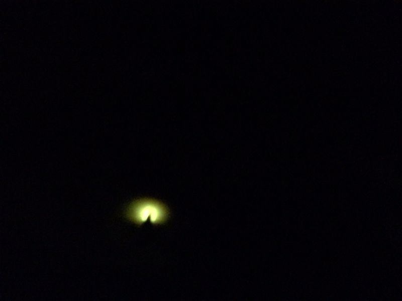 d0162711_181598.jpg
