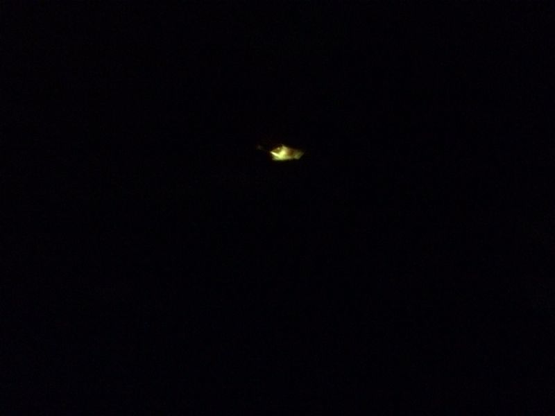 d0162711_181681.jpg