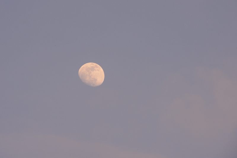 f0032011_1831122.jpg