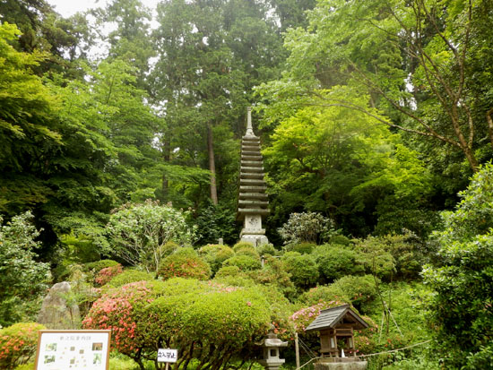明日香を歩く3 岡寺_e0048413_21203282.jpg