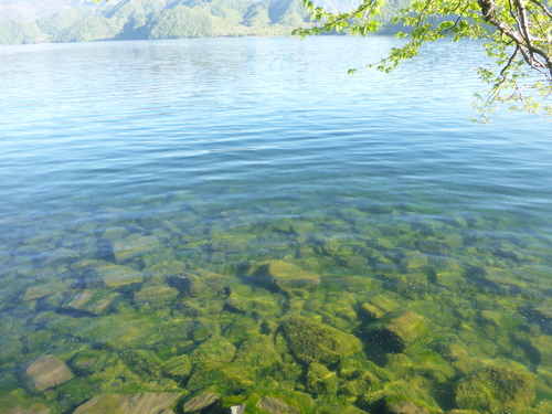 a0236914_1159512.jpg