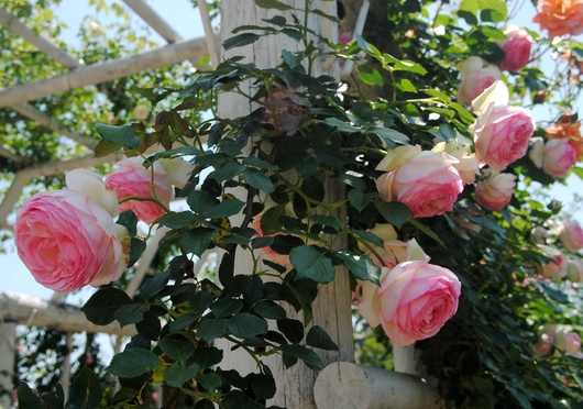 b0209919_20522080.jpg