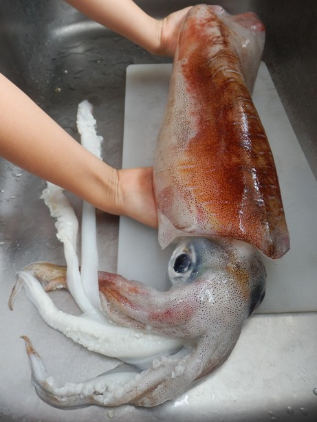 巨大アオリイカ Grand Reve Okinawa Sweets 巨大アオリイカ Grand Reve Okinawa Sweets