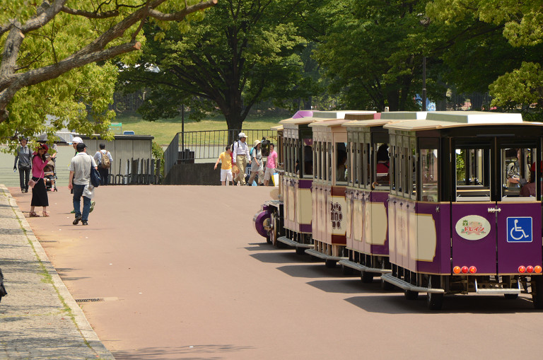 万博記念公園にて　　2014.6.1_d0073324_1624642.jpg