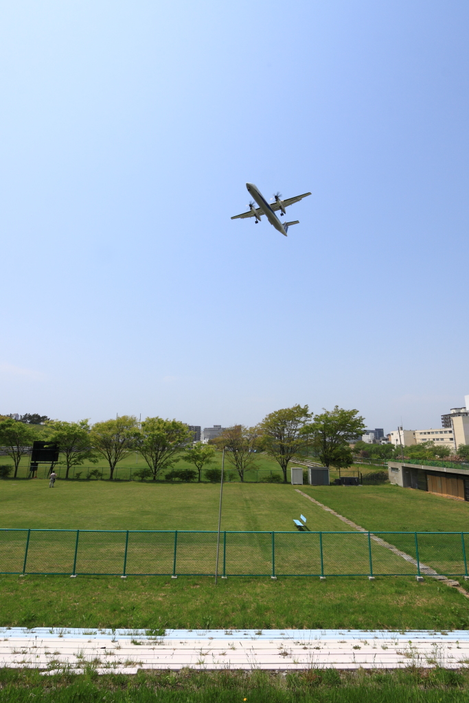 まだまだ～函館空港～_a0263128_08465847.jpg