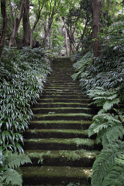 鎌倉散歩　#45 －初夏の松葉谷のお寺巡り（妙法寺・後編）－_b0169330_17462416.jpg