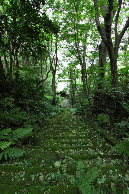 鎌倉散歩　#45 －初夏の松葉谷のお寺巡り（妙法寺・後編）－_b0169330_17464291.jpg