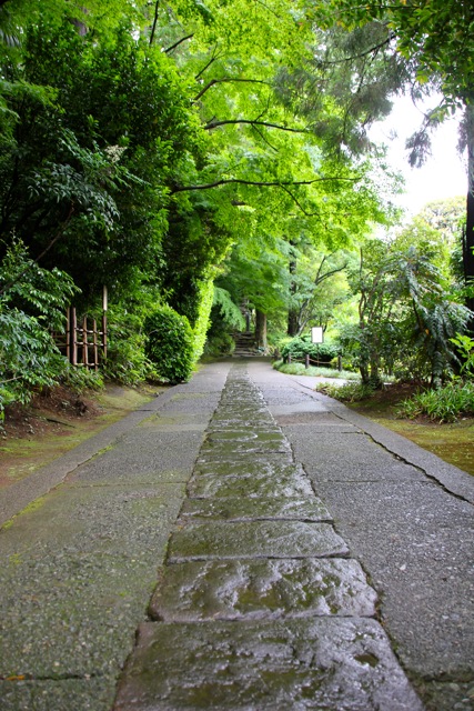 f0348831_22482774.jpg