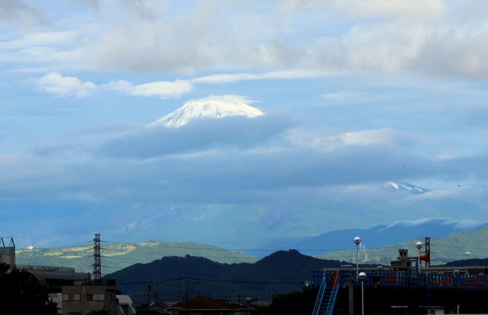 08/Jun 富士山と神川橋とタイサンボクとナスタチウム_e0149934_183632.jpg